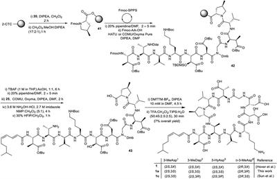 A Concise Synthetic Strategy Towards the Novel Calcium-dependent Lipopeptide Antibiotic, Malacidin A and Analogues